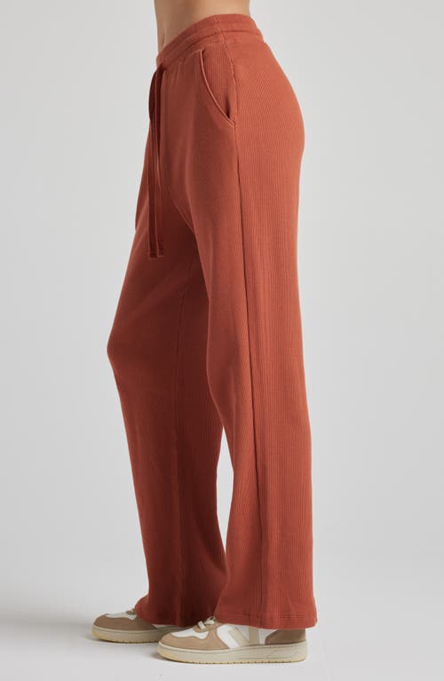 Shop Losano Drawstring Pant In Baked Clay