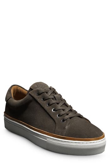 Shop Allen Edmonds Flynn Leather Sneaker In Grey