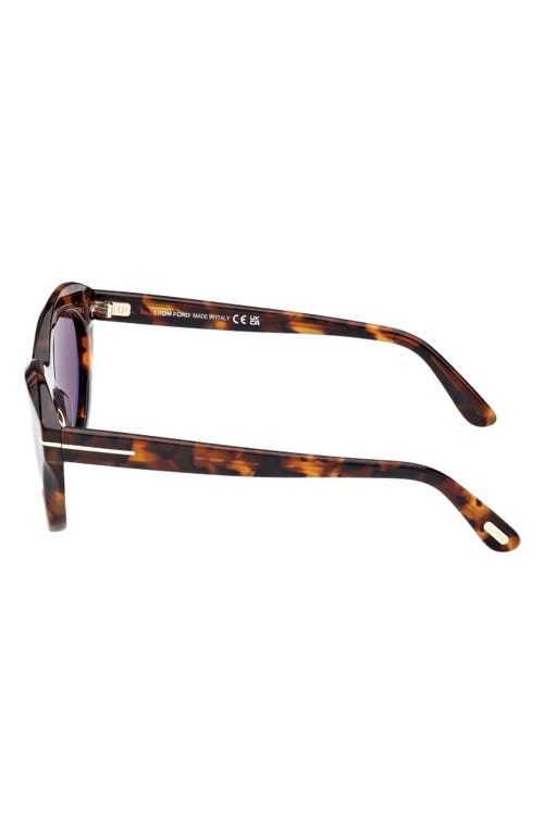 Shop Tom Ford Toni 55mm Oval Sunglasses In Shiny Dark Havana/brown