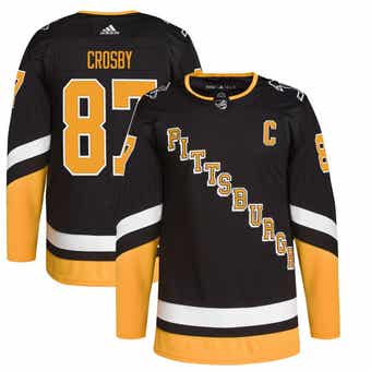 Evgeni Malkin Pittsburgh Penguins Fanatics Branded 2019 NHL Stadium Series  Breakaway Player Jersey - Black