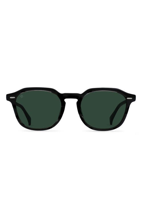 Clyve 52mm Polarized Sunglasses in Crystal Black /Green Polar