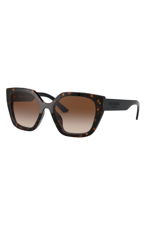 Shop Prada 52mm Butterfly Sunglasses In Havana/brown Gradient