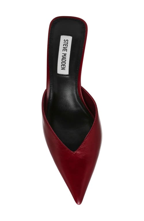 Shop Steve Madden Mod Pointed Toe Mule Pump In Dark Red