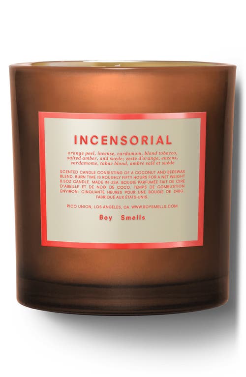 Boy Smells Incensorial Candle