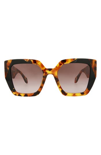 Just Cavalli 53mm Square Sunglasses In Havana Havana Brown