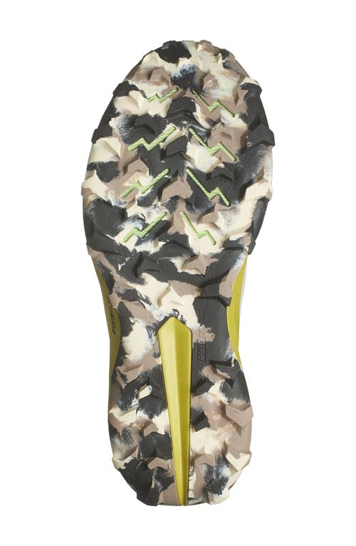 Saucony Peregrine 13 Running Shoe In Fog/clay