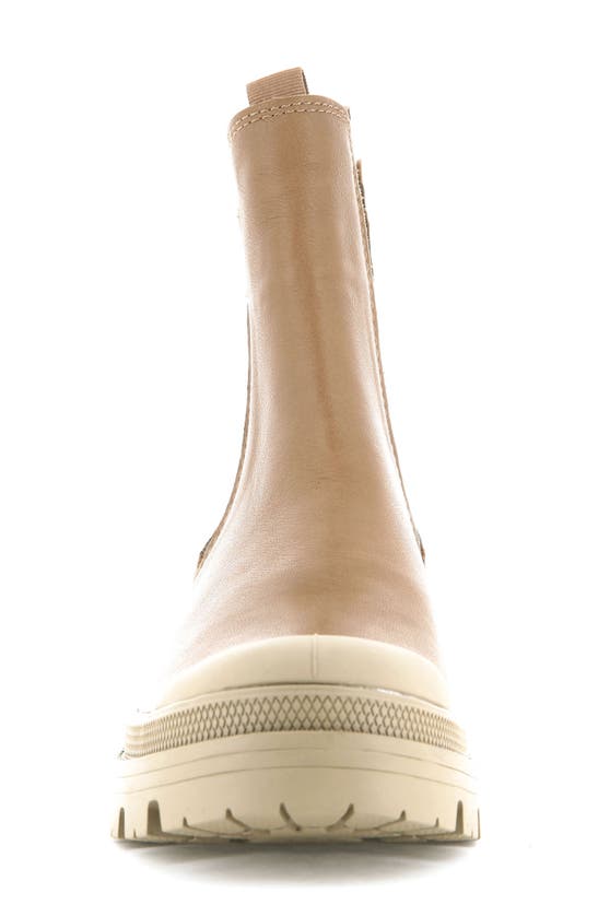 chelsea boots palladium