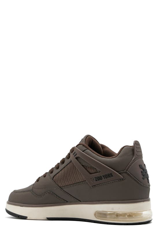 Shop Zoo York All Time Sneaker In Brown