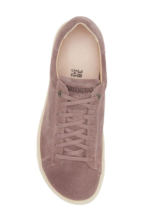 Shop Birkenstock Bend Low Top Sneaker In Faded Purple