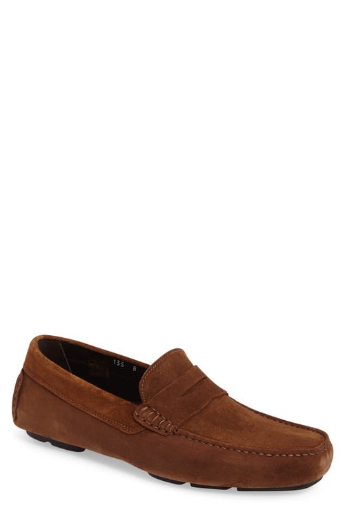 To Boot New York Mitchum Driving Shoe In Brown/brown Suede