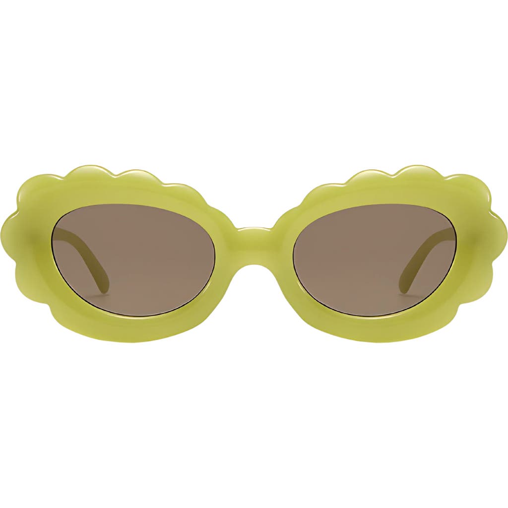 Fifth & Ninth Lilah 74mm Polarized Oversize Oval Sunglasses In Pear Green/brown