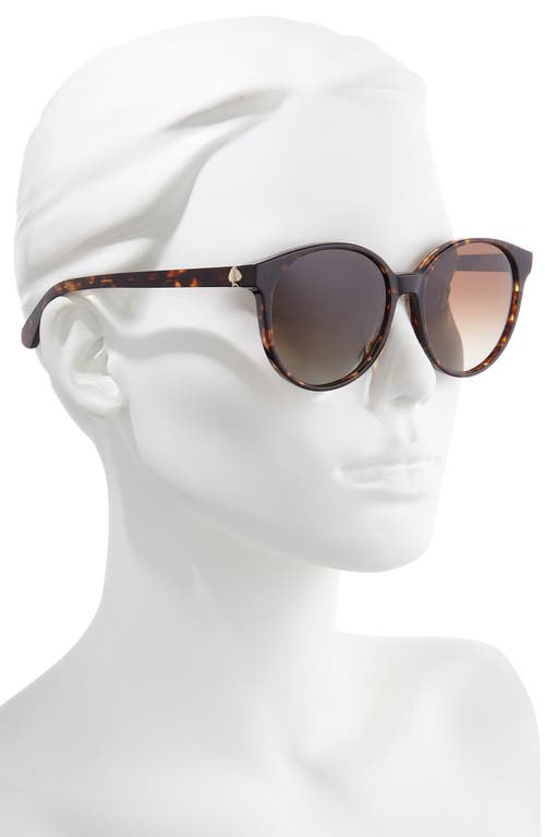 Shop Kate Spade New York Eliza 55mm Polarized Round Sunglasses In Dkhavana/brown Grad Polz