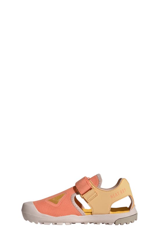 Shop Adidas Originals Terrex Captain Toey 2.0 Sandal In Amber/ Spark/ Putty Mauve