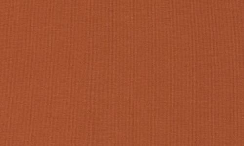 Nordstrom Everyday Long Sleeve Crewneck Rib T-shirt In Rust Bisque