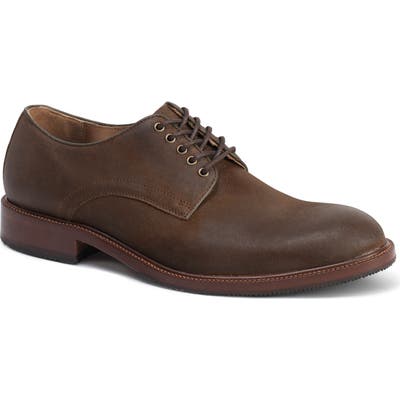Trask Landry Plain Toe Derby, Brown