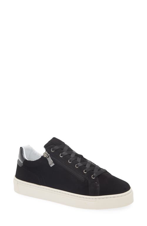 The FLEXX Carmela Sneaker in Black 