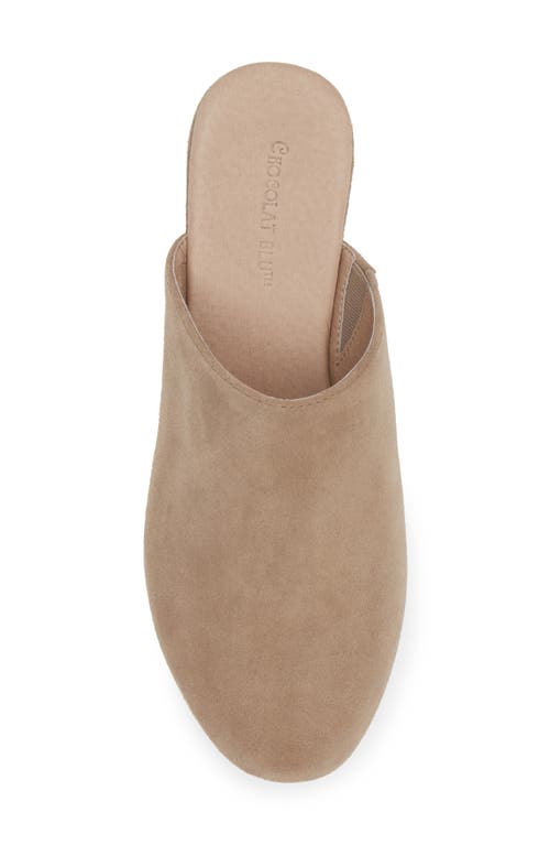 Chocolat Blu Ginette Platform Clog In Taupe Suede