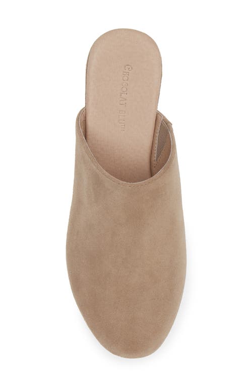 Shop Chocolat Blu Ginette Platform Clog In Taupe Suede