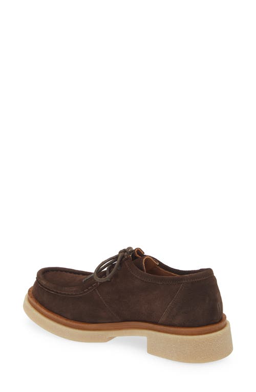 Cordani Maya Loafer In Brown Suede In Camoscio