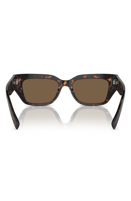 Dolce & Gabbana 52mm Cat Eye Sunglasses In Havana