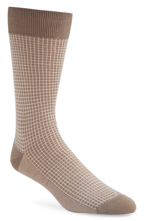 Canali Microcheck Cotton Dress Socks in Brown at Nordstrom