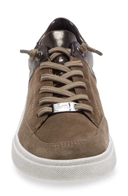 Shop Ara Regina Sneaker In Taiga Velour/mercury