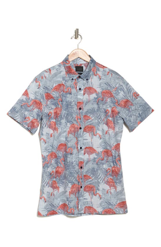 Shop 14th & Union Flamingos Short Sleeve Button-down Shirt In Blue- Red Flamingo