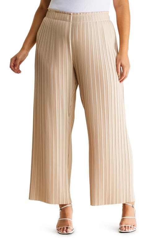 Estelle Vespa Pleated Wide Leg Pants in Stone at Nordstrom, Size 4X