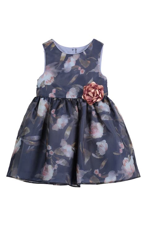 Baby Girl Dresses | Nordstrom