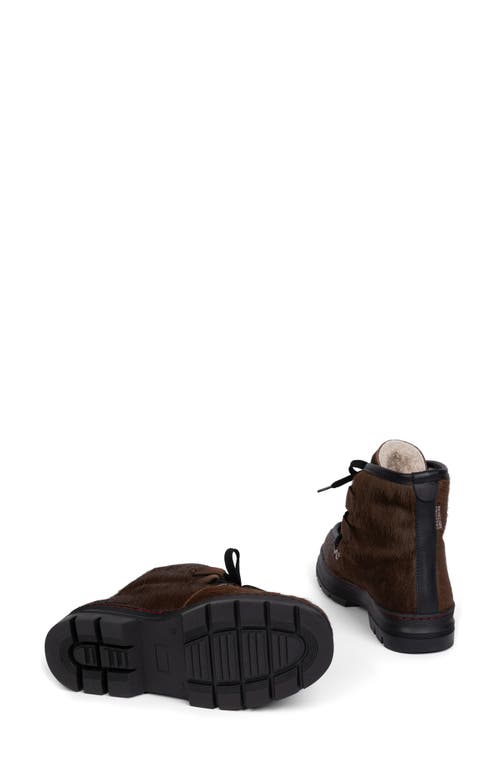 Penelope Chilvers Incredible Genuine Calf Hair Bootie In Dark Oak