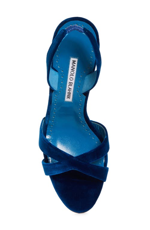 Shop Manolo Blahnik Callasli Sandal In Cobalt Blue Velvet