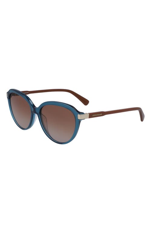 Shop Longchamp Le Pliage 56mm Gradient Tea Cup Sunglasses In Blue/brown Pliage