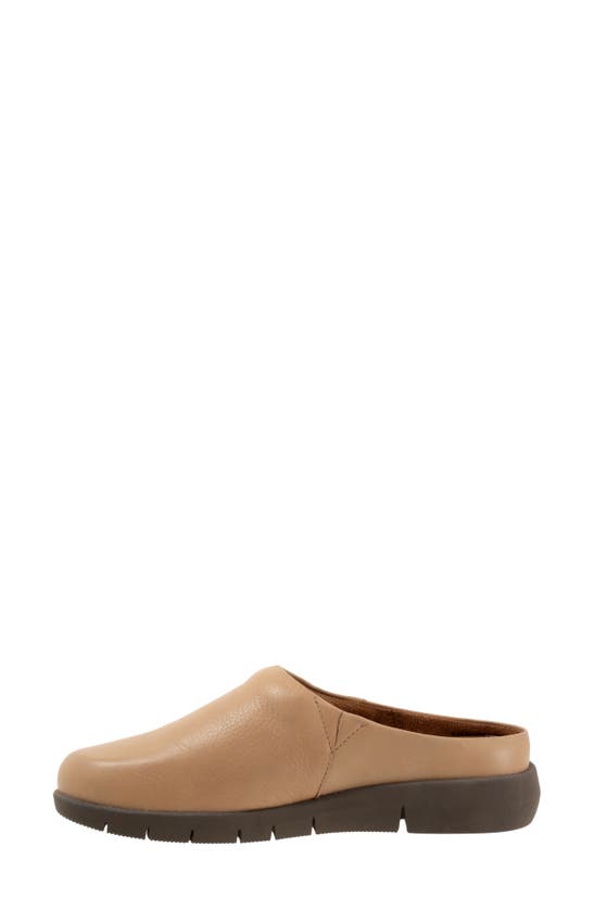 Softwalk Andria Mule In Beige