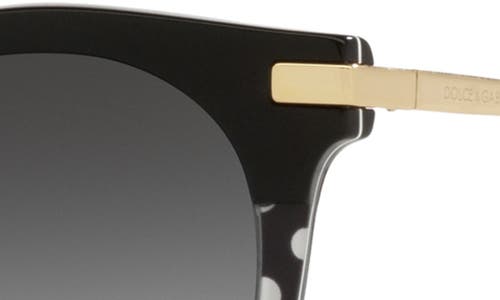 Dolce & Gabbana Dolce&gabbana 50mm Phantos Dna Sunglasses In Black Dots