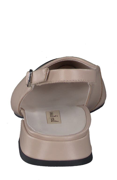 Paul Green Ynez Pointed Toe Slingback Flat In Black Biscuit Combo