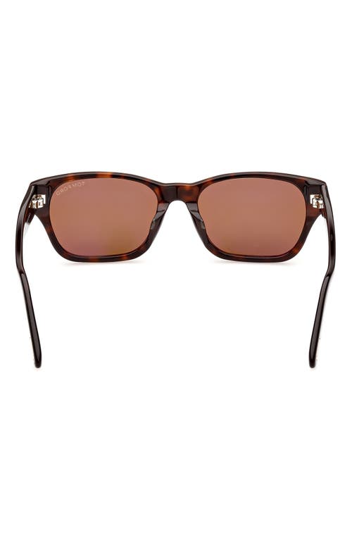 Shop Tom Ford 54mm Square Sunglasses In Dark Havana/brown
