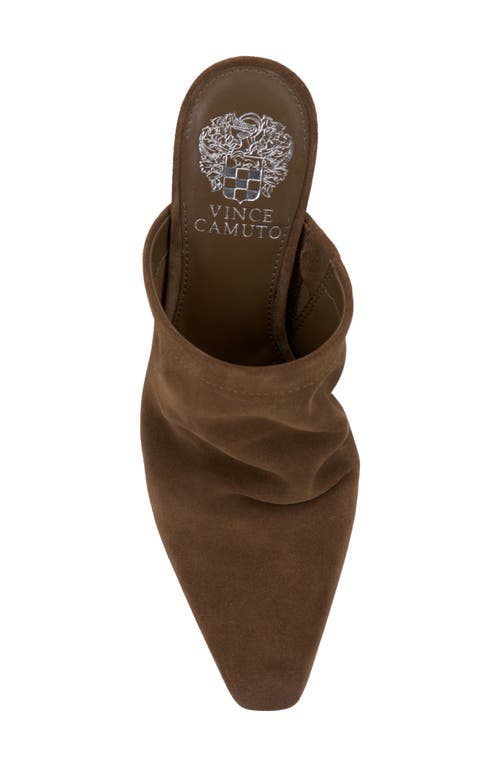 Vince Camuto Carlie Pointed Toe Mule In Reishi Brown