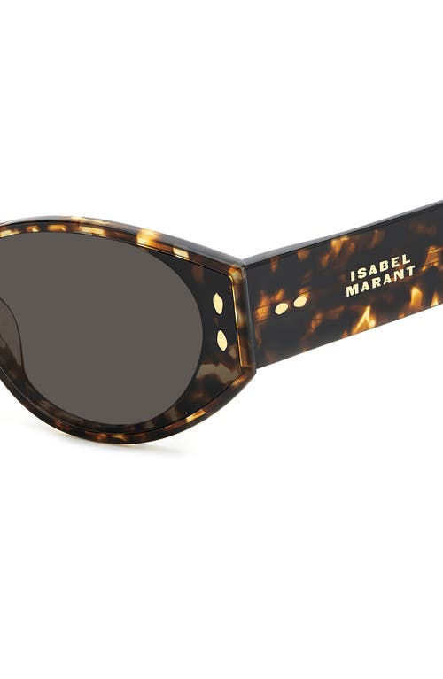 Isabel Marant 64mm Oversize Oval Sunglasses In Havana/grey