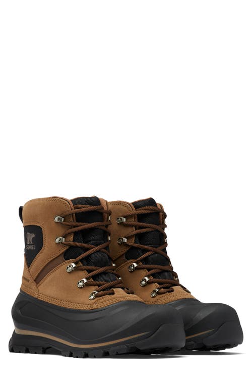 Size 10 SOREL Buxton Waterproof Snow Boot in Delta/Black at Nordstrom,