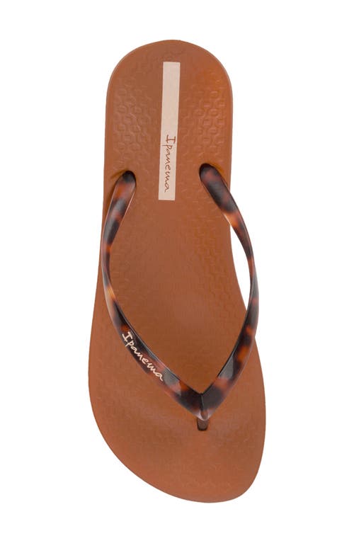 Ipanema Ana Flip Flop In Brown/clear