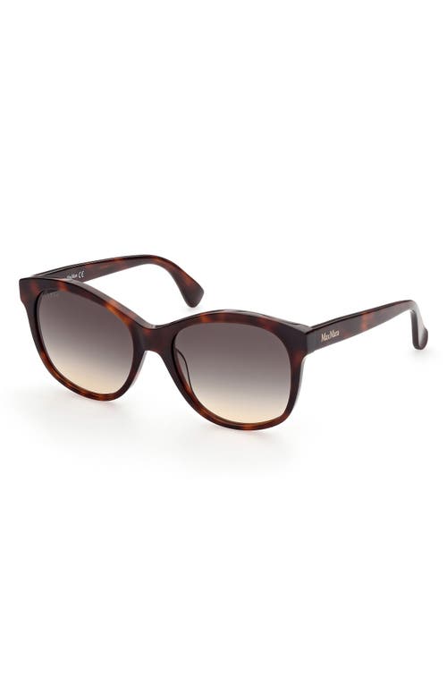 Shop Max Mara 56mm Butterfly Sunglasses In Dark Havana/gradient Smoke