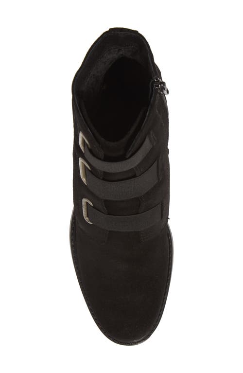 Shop Bos. & Co. Indie Waterproof Bootie In Black Suede/elastic