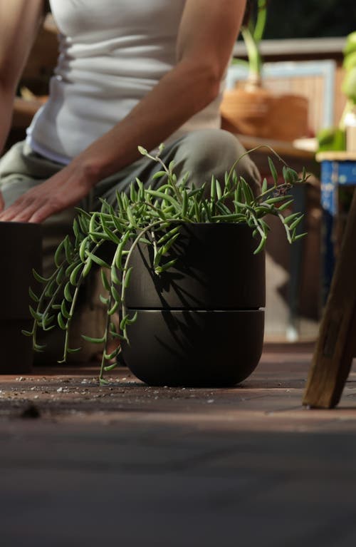 Shop Fable The Planter In Granite Gray