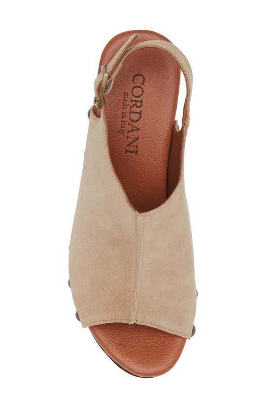 Shop Cordani Winnie Slingback Sandal In Camoscio Corda