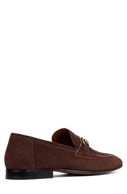 Donald Pliner Bit Loafer In Chocolate