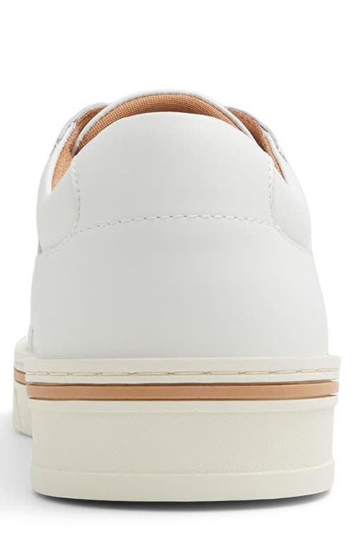 Ted Baker Hampstead Sneaker In White