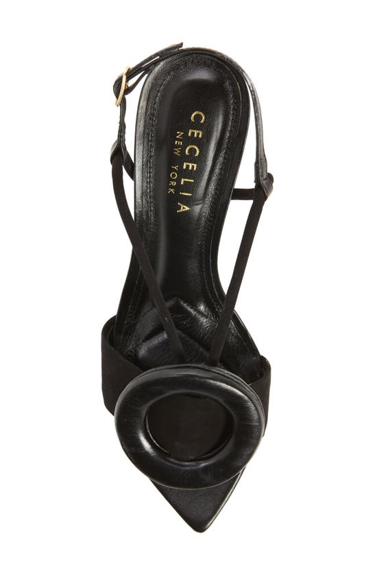 Cecelia New York Myra Pointed Toe Slingback Sandal In Black Patent