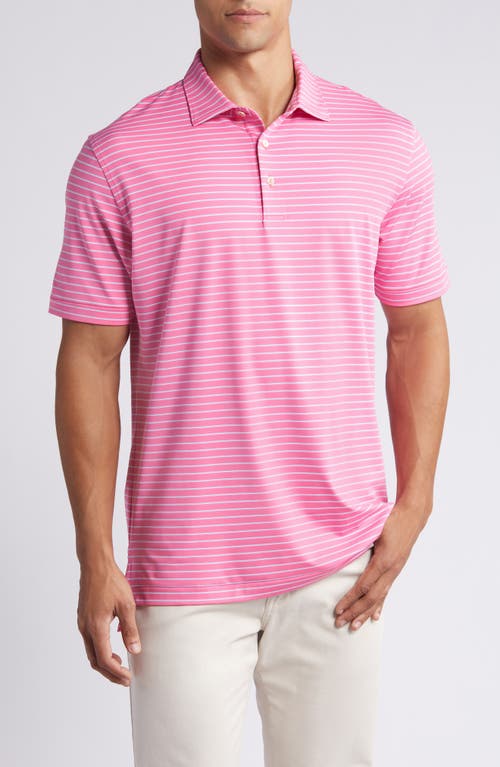 Drum Stripe Performance Jersey Polo in Pink Ruby