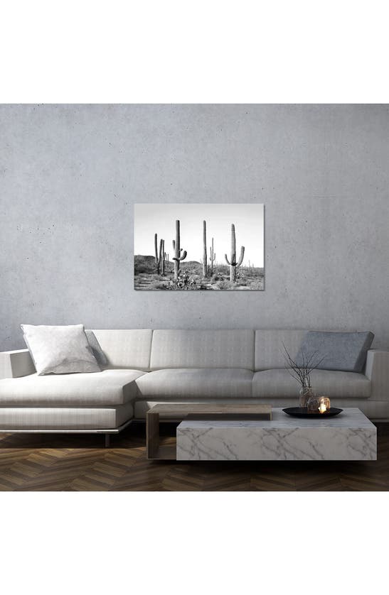 Shop Icanvas 'gray Cactus Land' By Sisi & Seb Canvas Artwork In Multi