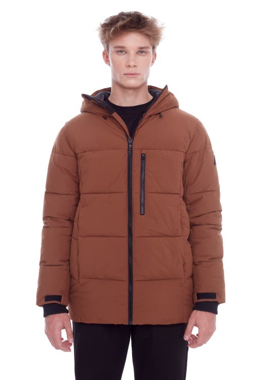 Alpine North Men's In Maple